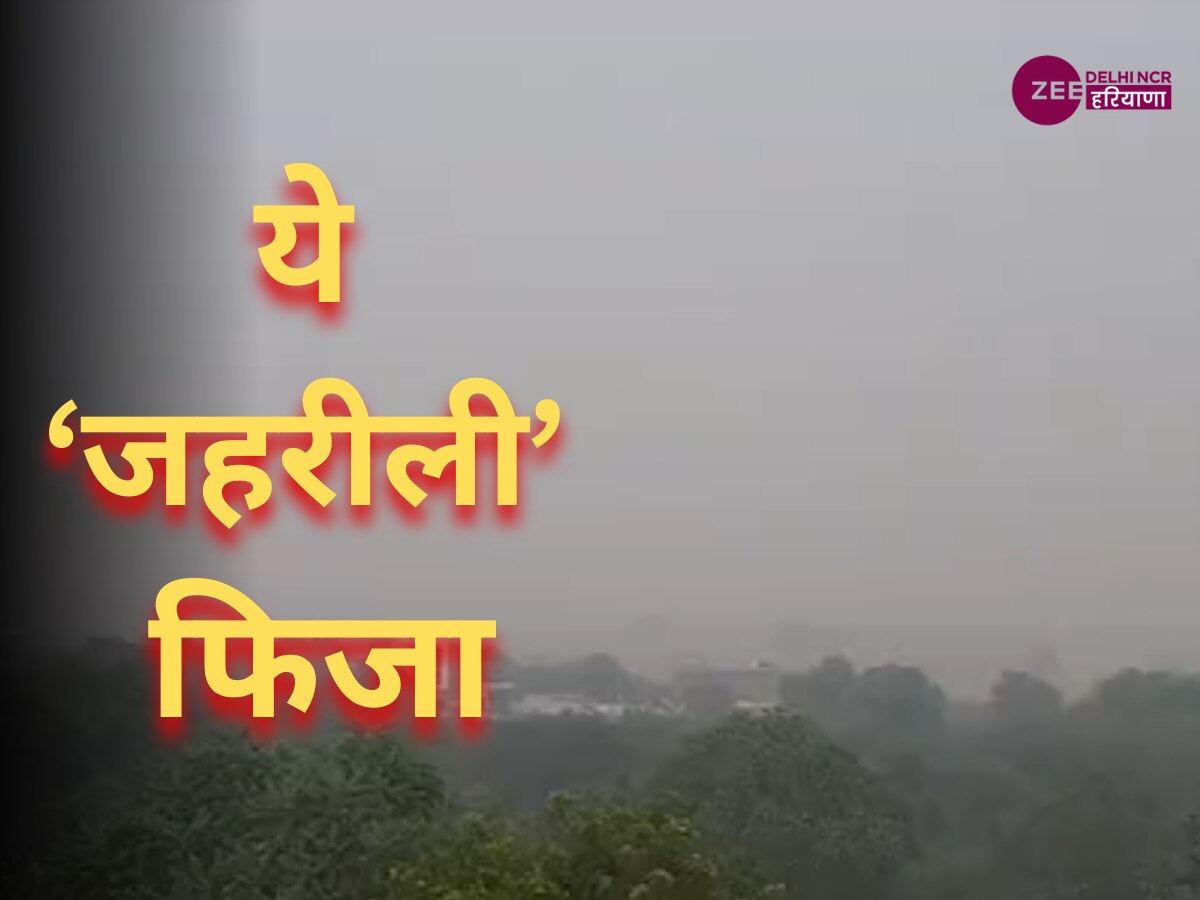 Haryana News: फतेहाबाद में 'खराब हवा' से लोग परेशान, एक महीने से सितम जारी