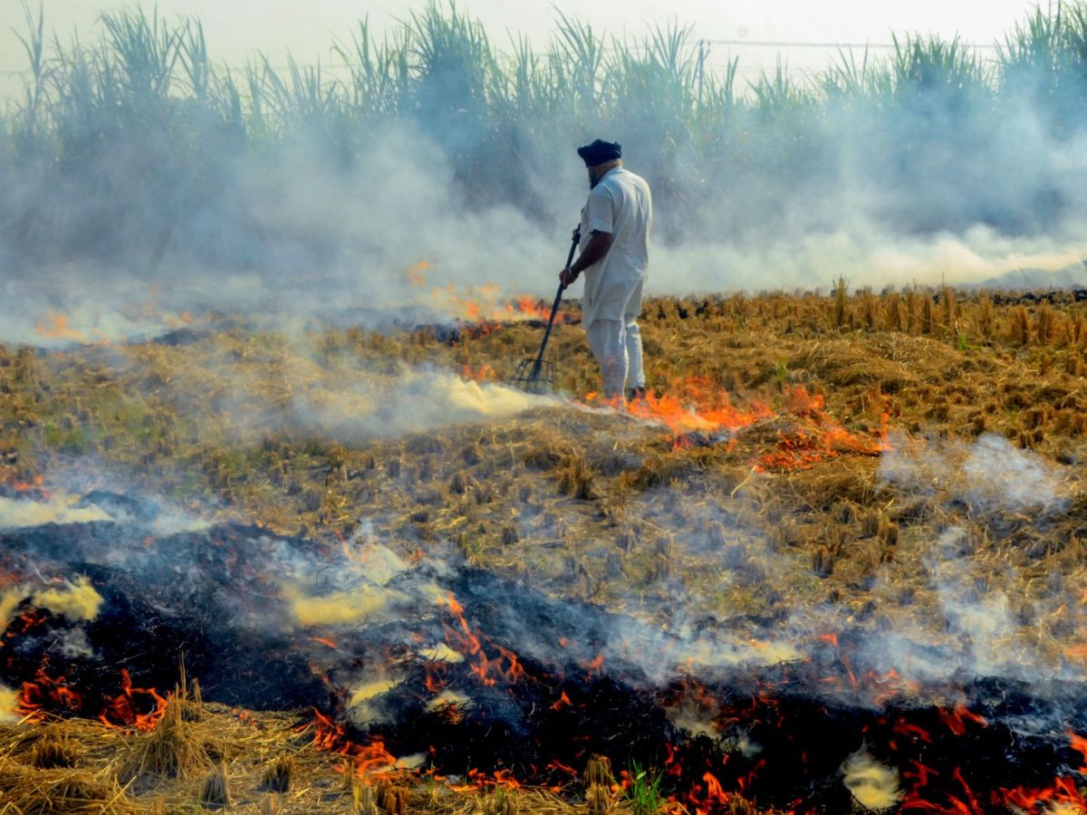 पराली जलाने पर केस हुए तो भड़के पंजाब के किसान, कई संगठनों ने किया प्रदर्शन