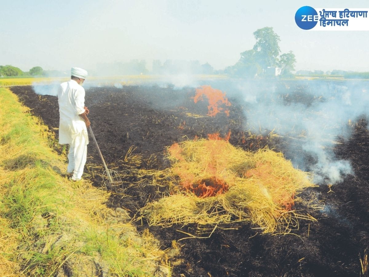 Punjab Stubble Burning: ਪੰਜਾਬ 'ਚ ਲਗਾਤਾਰ ਤੀਜੇ ਦਿਨ ਪਰਾਲੀ ਸਾੜਨ ਦੇ ਮਾਮਲੇ ਘਟੇ, 1084 ਕਿਸਾਨਾਂ ਖਿਲਾਫ਼ FIR ਦਰਜ
