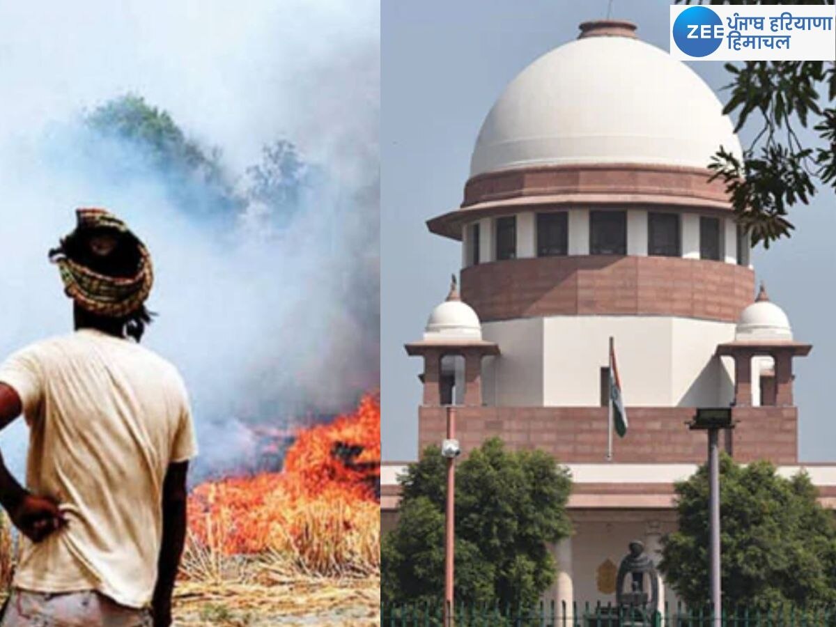 Supreme Court on Delhi Pollution: ਸੁਪਰੀਮ ਕੋਰਟ ਦੀ ਟਿੱਪਣੀ; ਕੀ ਸੰਭਵ ਹੈ ਕਿ ਪਰਾਲੀ ਸਾੜਨ ਵਾਲੇ ਕਿਸਾਨਾਂ ਦੀ ਫ਼ਸਲ MSP 'ਤੇ ਨਾ ਖ਼ਰੀਦੀ ਜਾਵੇ