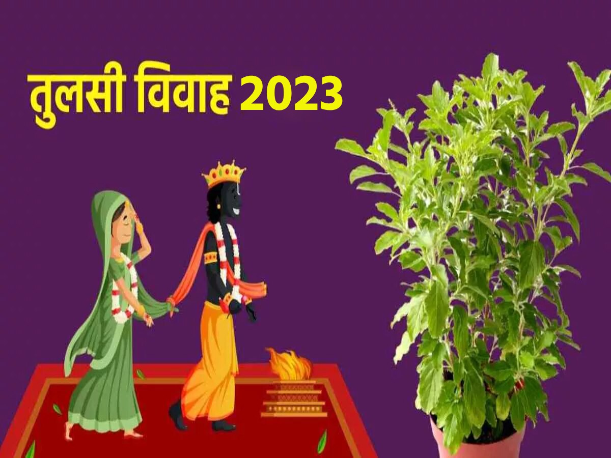 Tulsi Vivah 2023 Tulsi Chalisa In Hindi Shaligram Tulsi Vivah Date ...