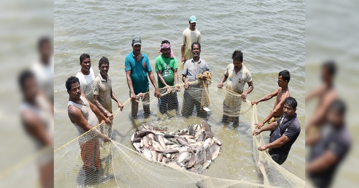 World Fisheries Day ବିଶ୍ବ ମତ୍ସ୍ୟ ଦିବସ ଅବସରରେ 'ମୁଖ୍ୟମନ୍ତ୍ରୀ ମତ୍ସ୍ୟଜୀବୀ
