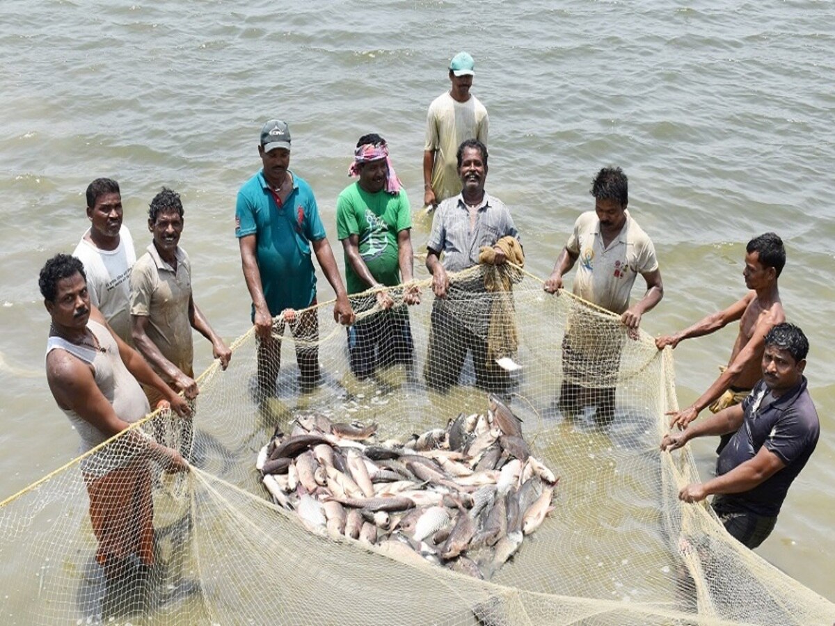 World Fisheries Day: ବିଶ୍ବ ମତ୍ସ୍ୟ ଦିବସ ଅବସରରେ 'ମୁଖ୍ୟମନ୍ତ୍ରୀ ମତ୍ସ୍ୟଜୀବୀ କଲ୍ୟାଣ ଯୋଜନା’ ଶୁଭାରମ୍ଭ କଲେ ମୁଖ୍ୟମନ୍ତ୍ରୀ