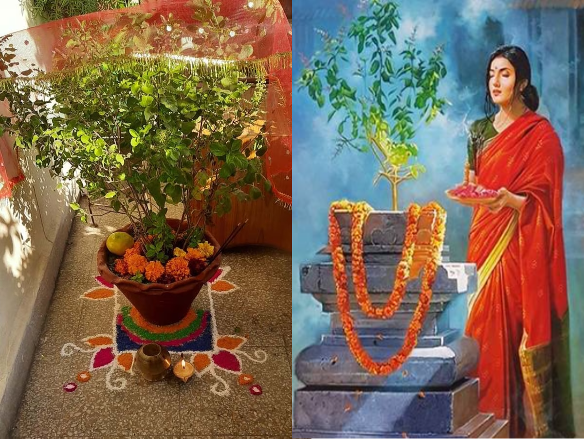 Tulsi Vivah 2023 Chant Shri Tulsi Stotram On Shaligram Tulsi Vivah ...