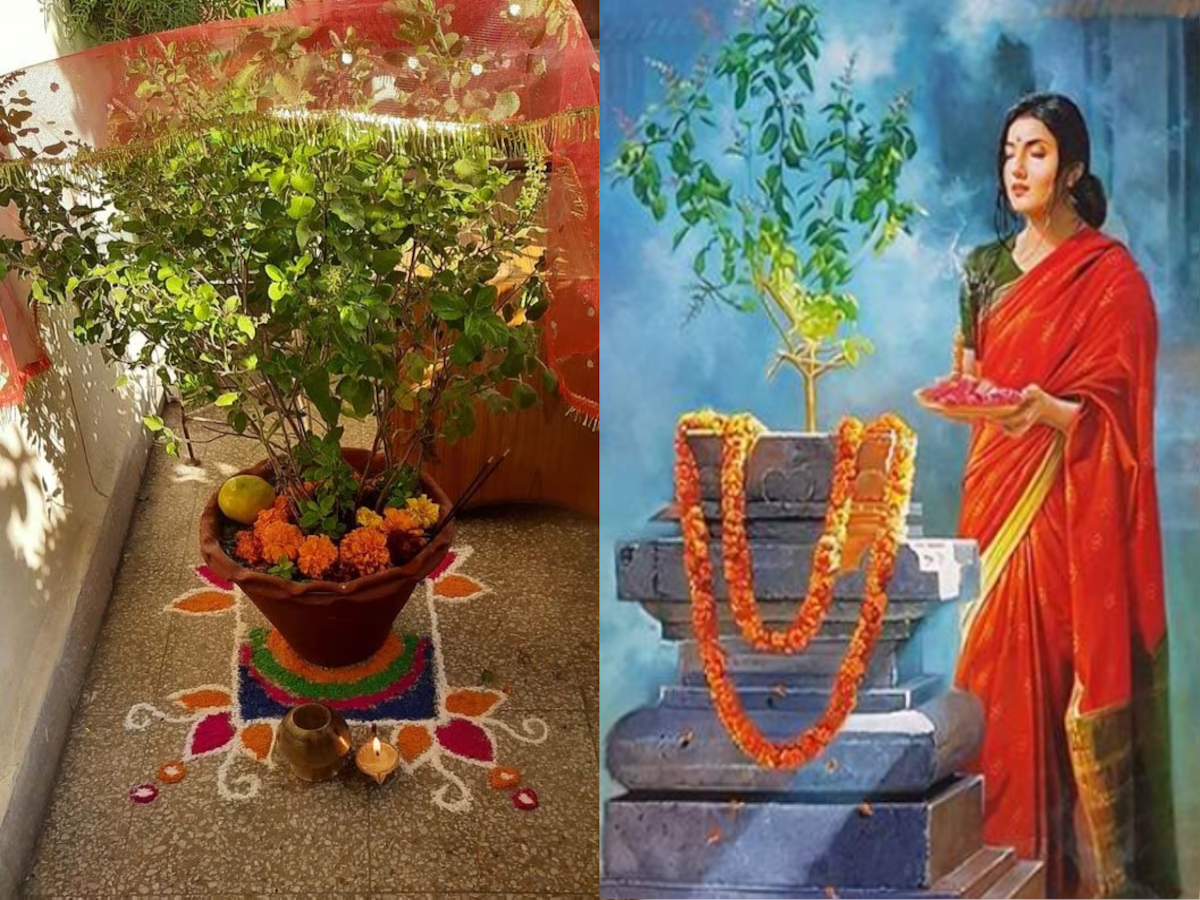 Shri Tulsi Stotram: