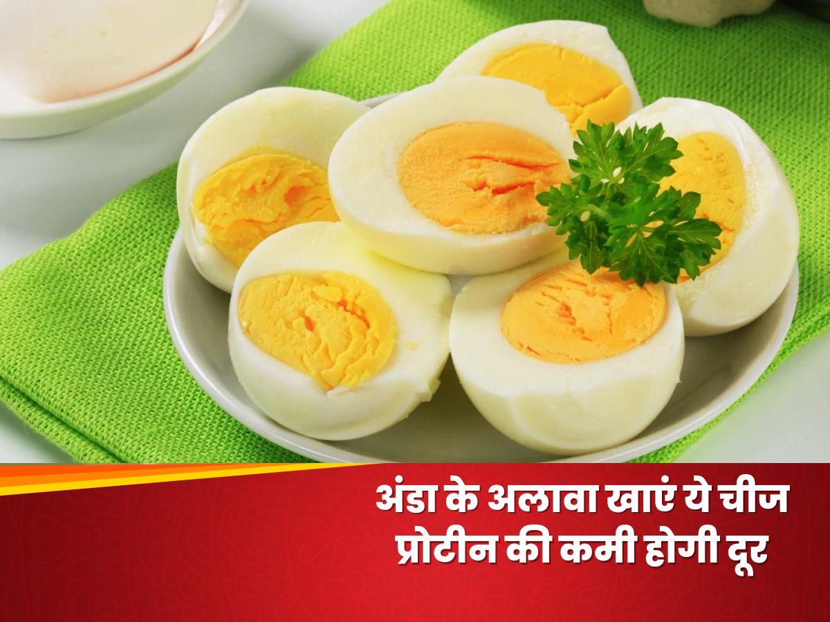 apart from eggs eating these things will also remove protein deficiency