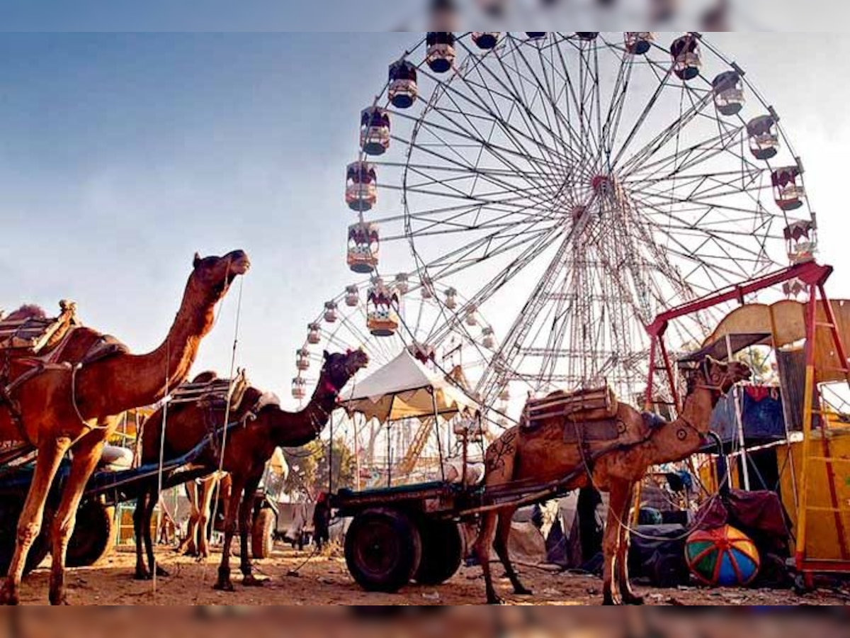 Interesting facts about Pushkar Fair | पुष्कर मेले की रोचक बातें | Hindi News,