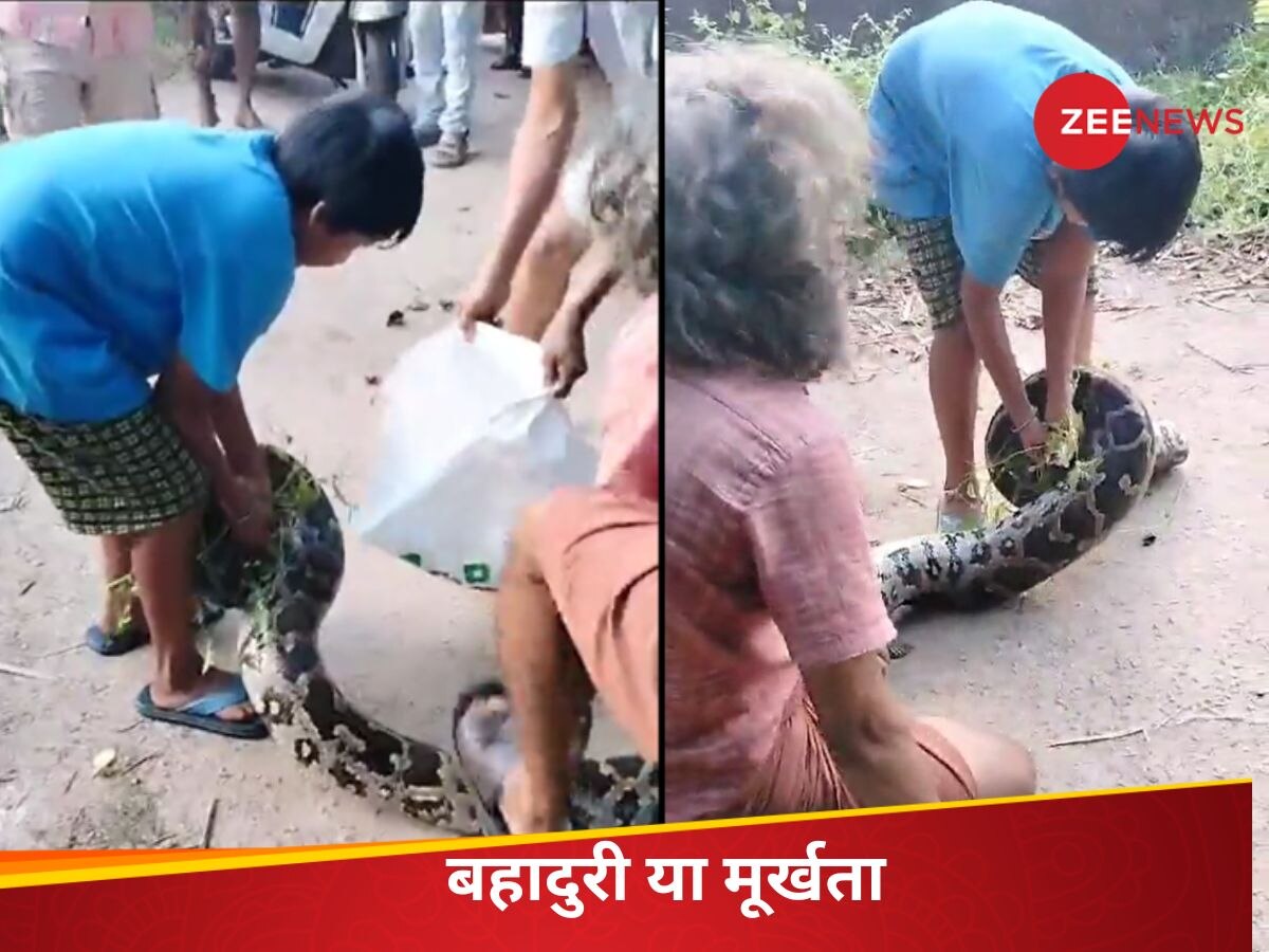 Watch: वीडियो देखकर आपके जिस्म में दौड़ जाएगी सिहरन, बच्चे ने मुंह पकड़कर इस तरह दबोच लिया विशालकाय अजगर 