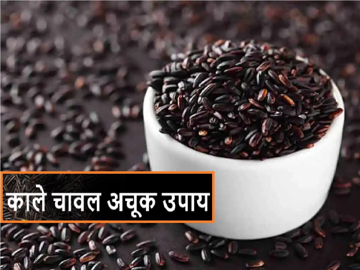 black rice remedies kale chawal ke upay to get job growth money happy married life Job Kale