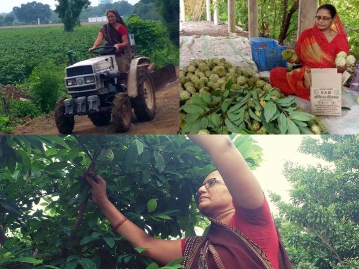 Success Story: इस महिला ने अपनी जिद से बदली किस्मत, खेती से कमा रही लाखों, जानिए सफलता की कहानी