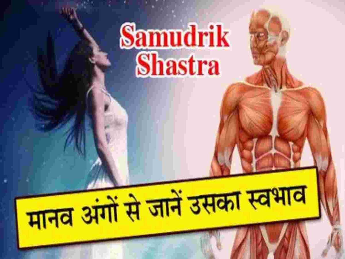 Samudrik shastra: किस्मत के धनी होते हैं ऐसे माथे वाले लोग, हमेशा रहते हैं धन-धान्य से भरपूर