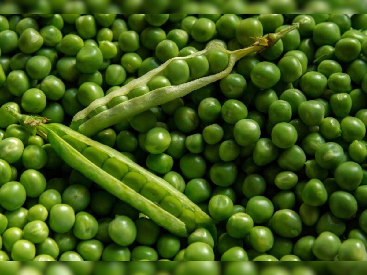 [Precious benefits of eating green peas] [हरी मटर खाने के अनमोल फायदे ] Hindi News,