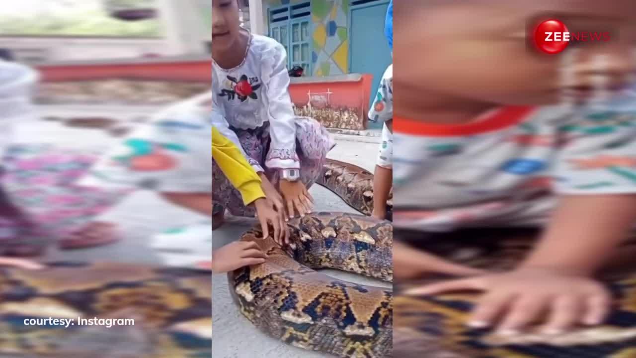 Parents left 2 year old child with 30 feet long python users got angry ...