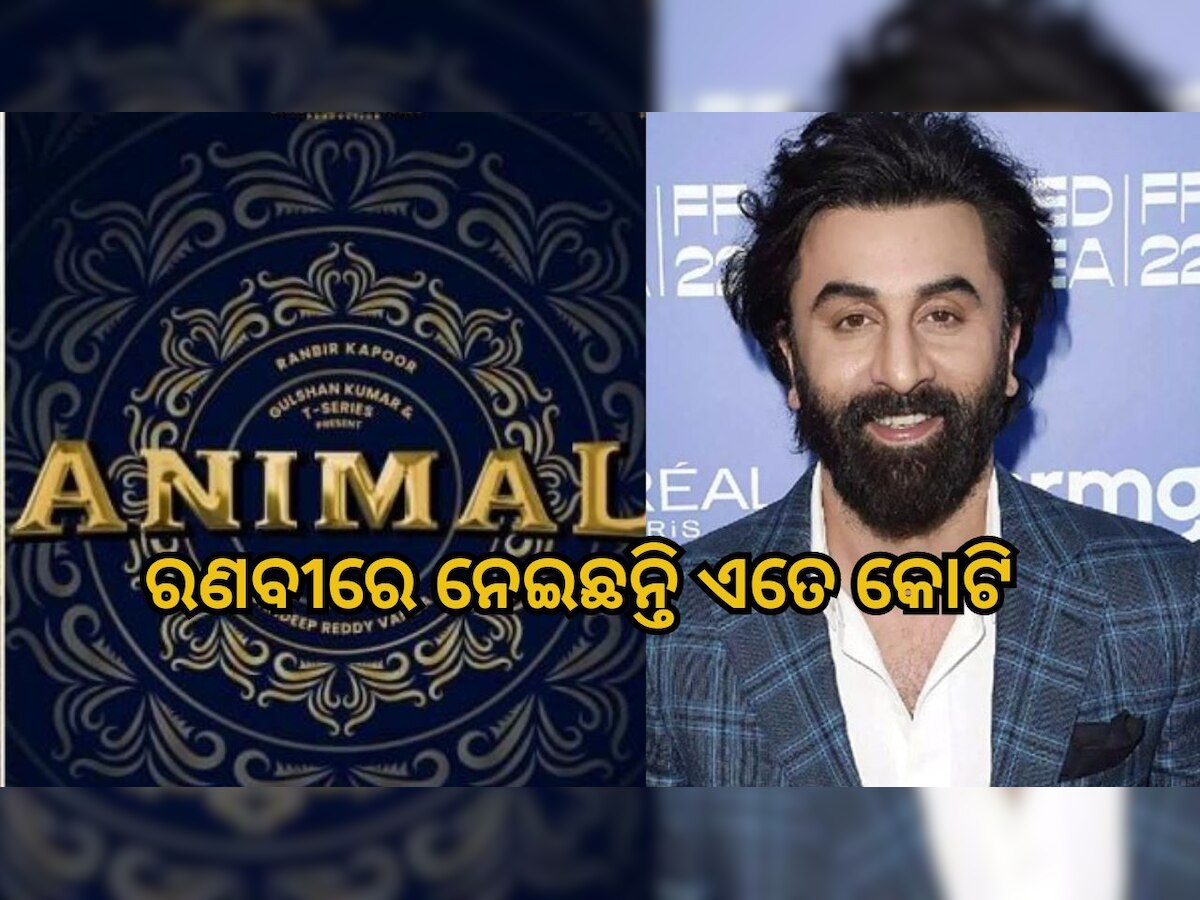 Animal Cast Fees: ଫିଲ୍ମ ‘ଆନିମଲ୍‌’ପାଇଁ କିଏ ନେଇଛନ୍ତି କେତେ କୋଟି, ଜାଣନ୍ତୁ