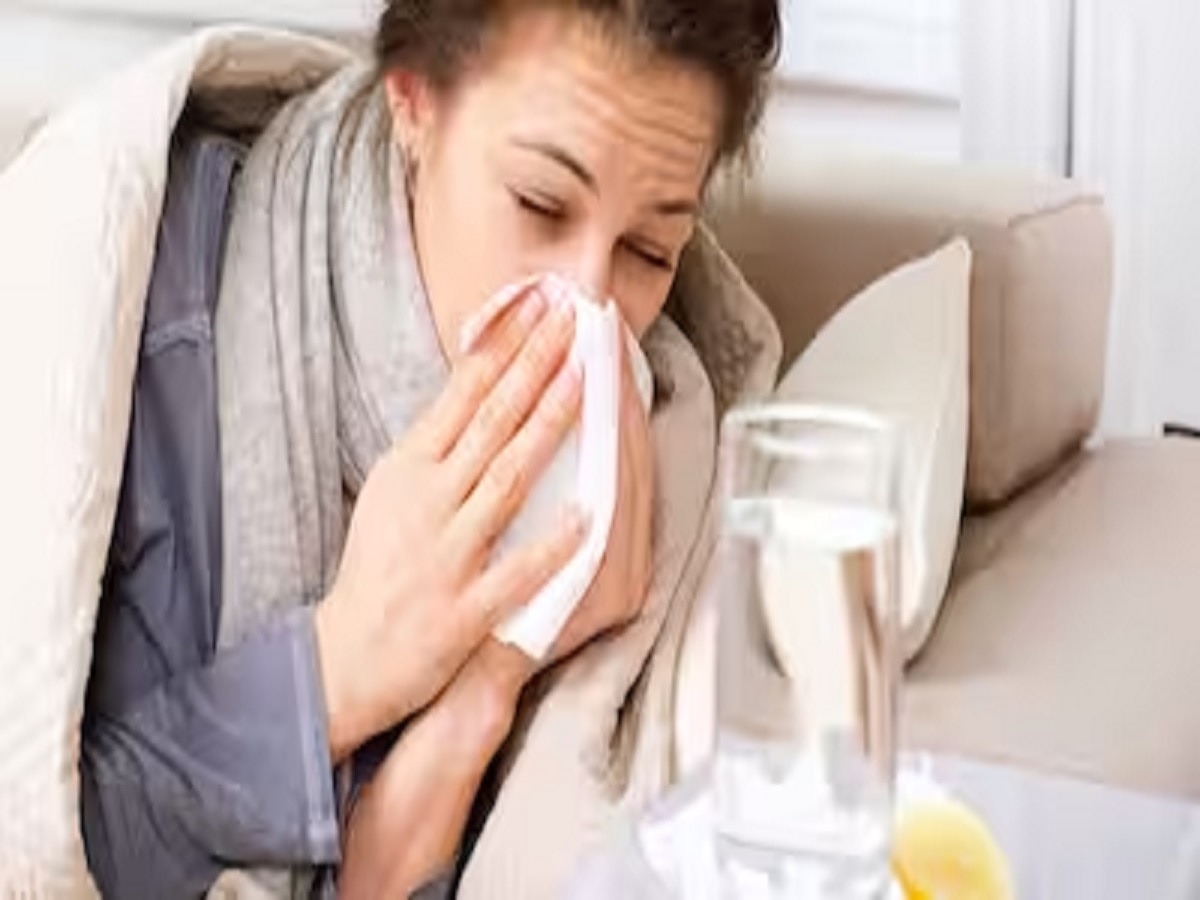 Winter Diseases : सर्दियों में इन बीमारियों का बढ़ जाता है खतरा, इन लोगों को रखना चाहिए ध्यान