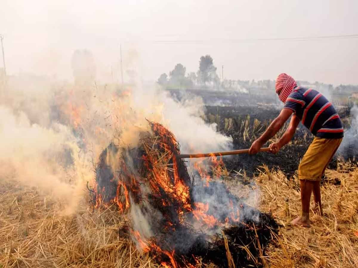 Stubble Burning:  पराली के धुएं से दिल्ली में कितना हो रहा प्रदूषण? देख लीजिए आंकड़े