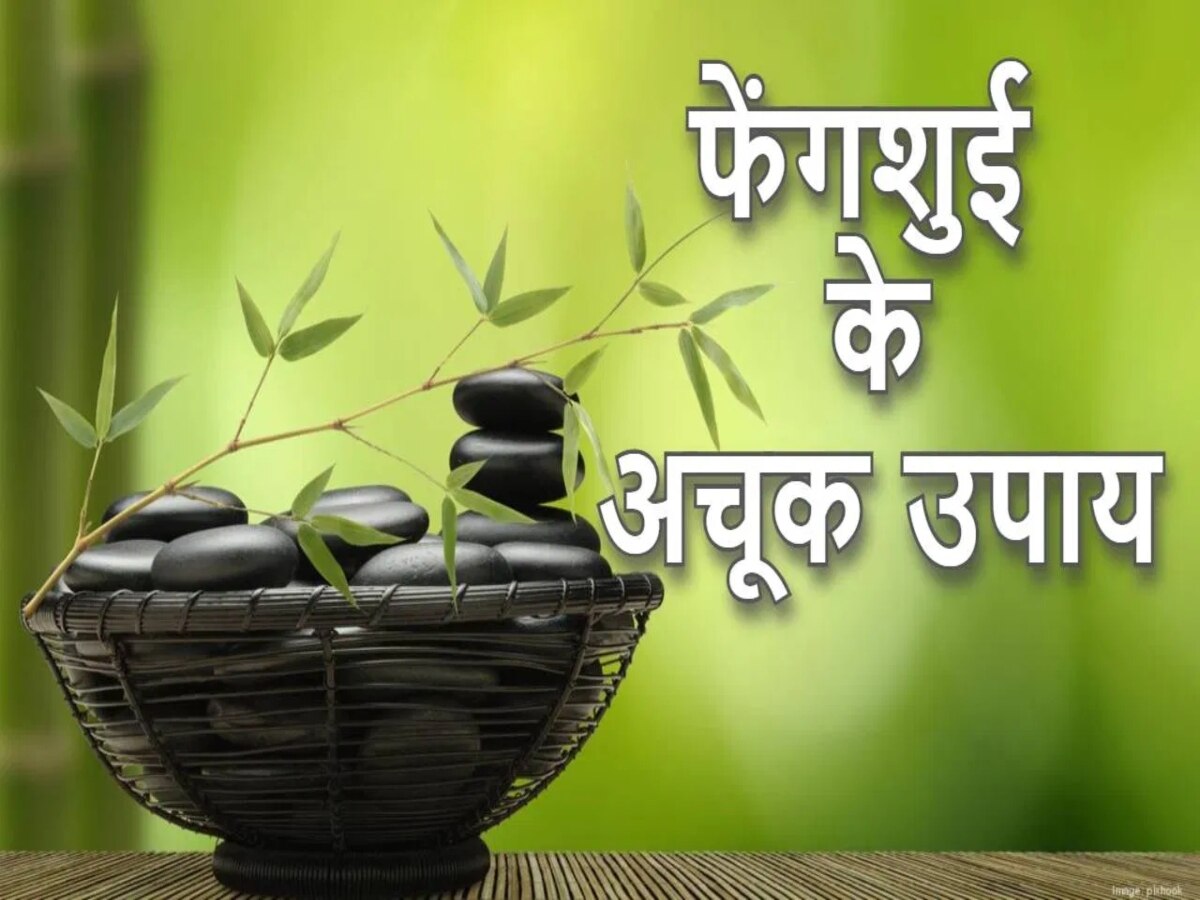 Feng shui tips: फेंगशुई के इस उपाय से दूर होंगी शादी की सारी अड़चनें, मिलेगा मनचाहा जीवनसाथी