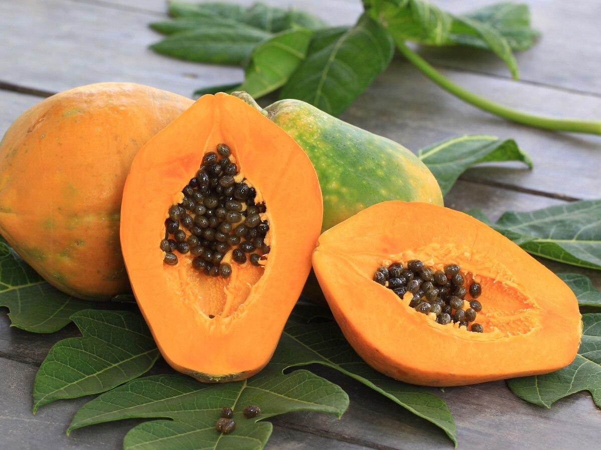 Papaya Health Benefits: वजन घटाने से लेकर कब्ज दूर करने तक, ब्रेकफास्ट में पपीता खाने से मिलते है 5 गजब के फायदे