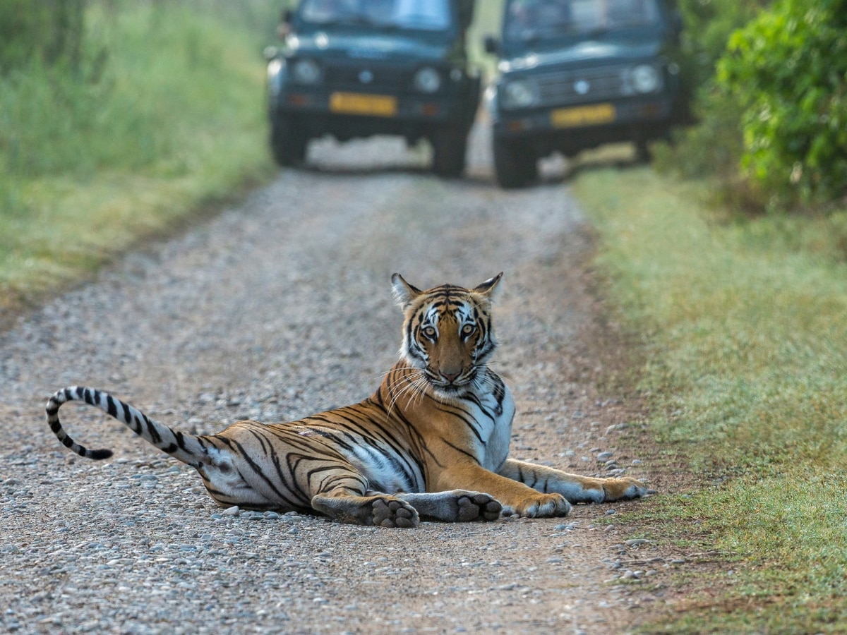 जिम कॉर्बेट नेशनल पार्क, उत्तराखंड