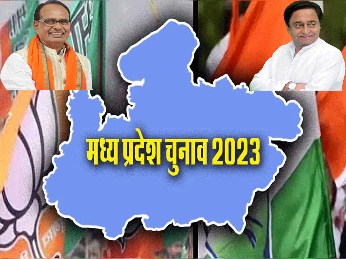 Madhya Pradesh Assembly Election: वोटिंग के बाद स्ट्रांग रूम की सुरक्षा पर सवाल, कांग्रेस ने लगाए गंभीर आरोप Madhya Pradesh Assembly Election: वोटिंग के बाद स्ट्रांग रूम की सुरक्षा पर सवाल, कांग्रेस ने लगाए गंभीर आरोप