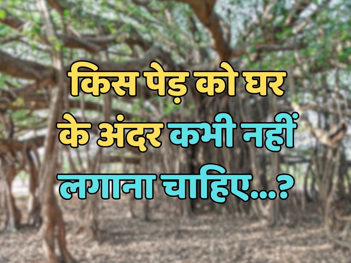 Quiz : किस पेड़ को घर के अंदर कभी नहीं लगाना चाहिए?