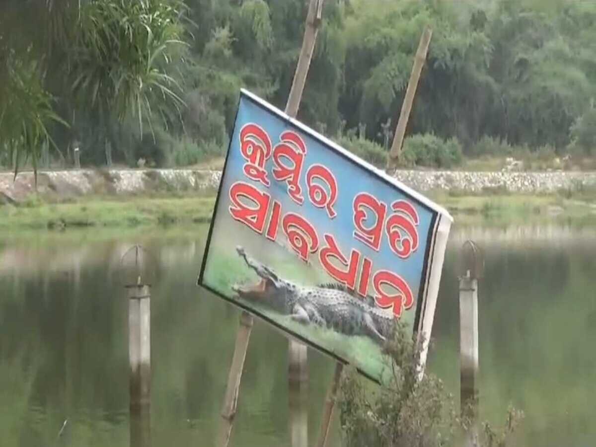 Ghodahada Dam Reservoir: ଶୁଖିଗଲା ଜଳଭଣ୍ଡାର ଗାଁ ମୁହାଁ କୁମ୍ଭୀର; ଚିନ୍ତାରେ ଜନସାଧାରଣ