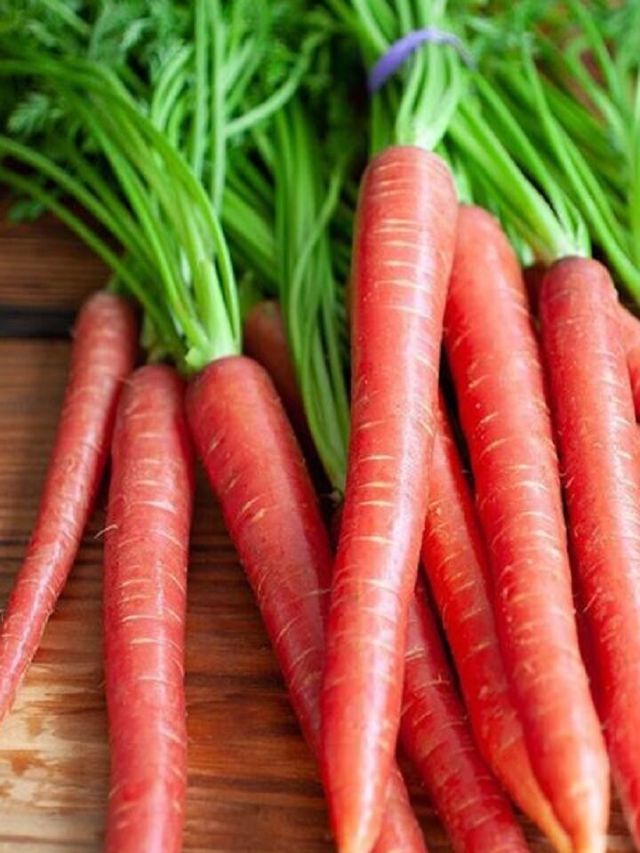 गाजर के 6 शानदार फायदे जान रह जाएंगे दंग