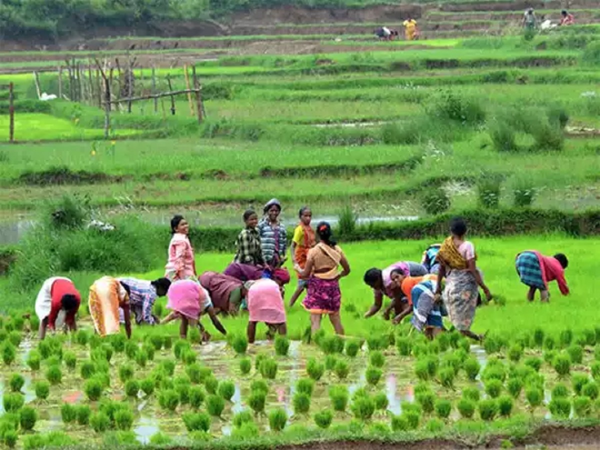 महिला किसानों को पीएम मोदी देने जा रहे हैं बड़ी सौगात, कल करेंगे बड़ा ऐलान