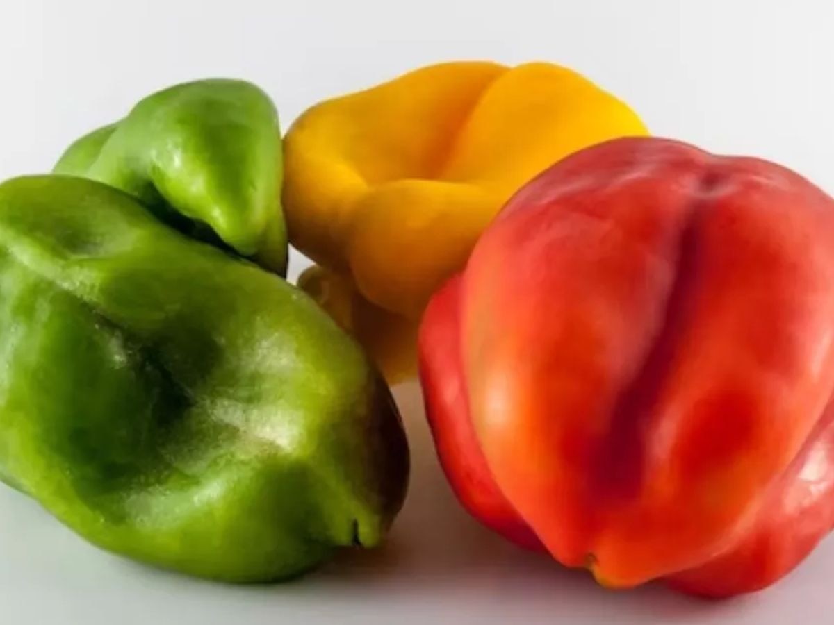 Bell Pepper Benefits