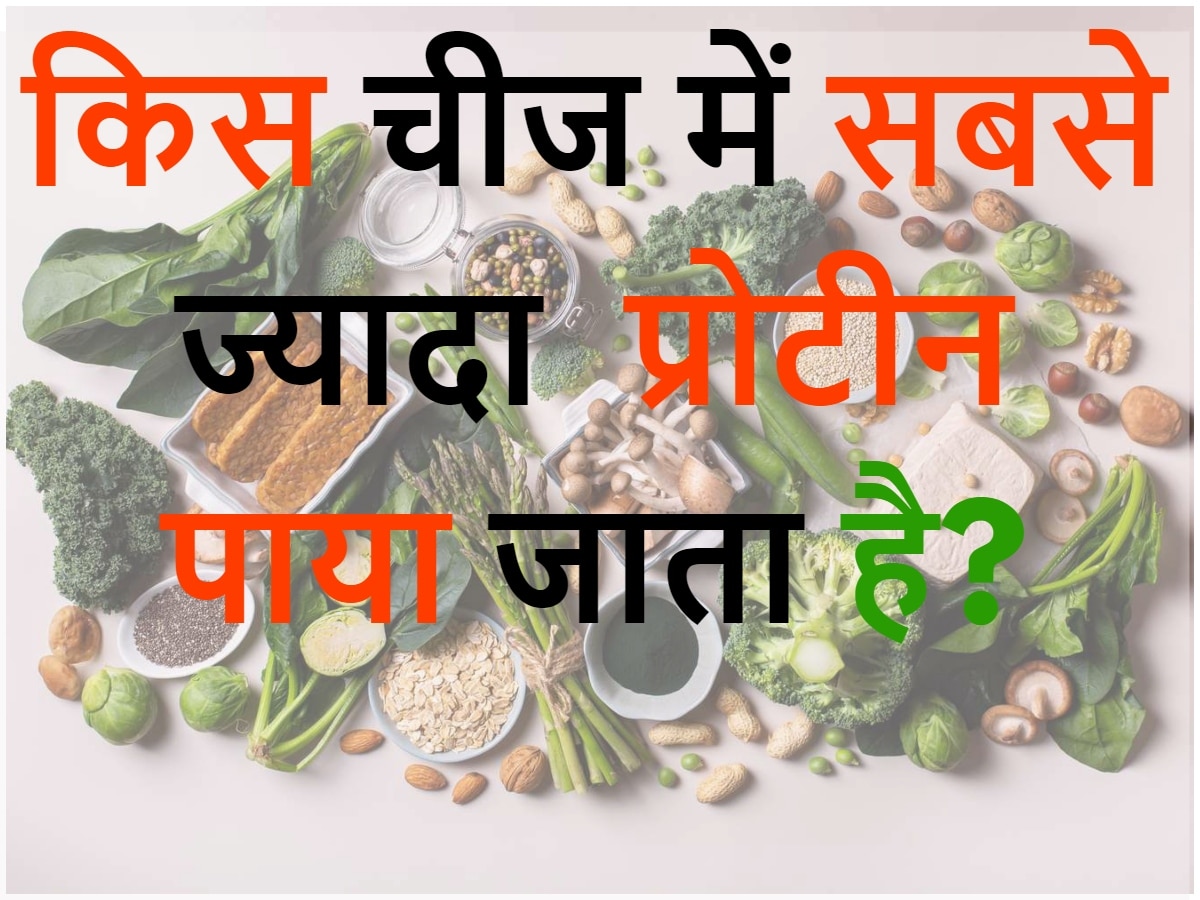 Quiz: किस चीज में सबसे ज्यादा प्रोटीन पाया जाता है?