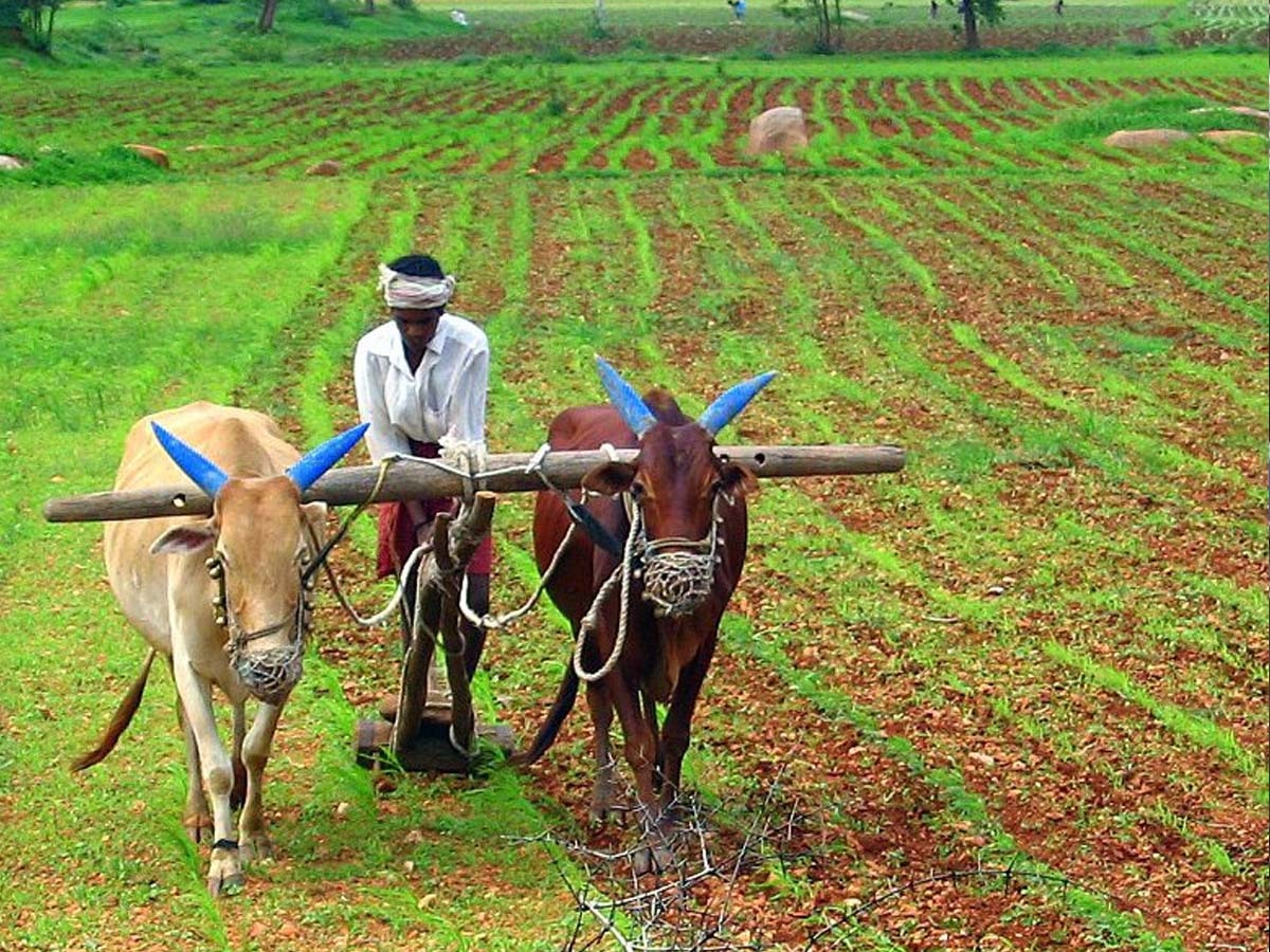 Krishi Yantrikaran Yojana: किसानों के लिए खुशखबरी, इस योजना के तहत औजारों पर मिलेगी 40 फीसद सब्सिडी