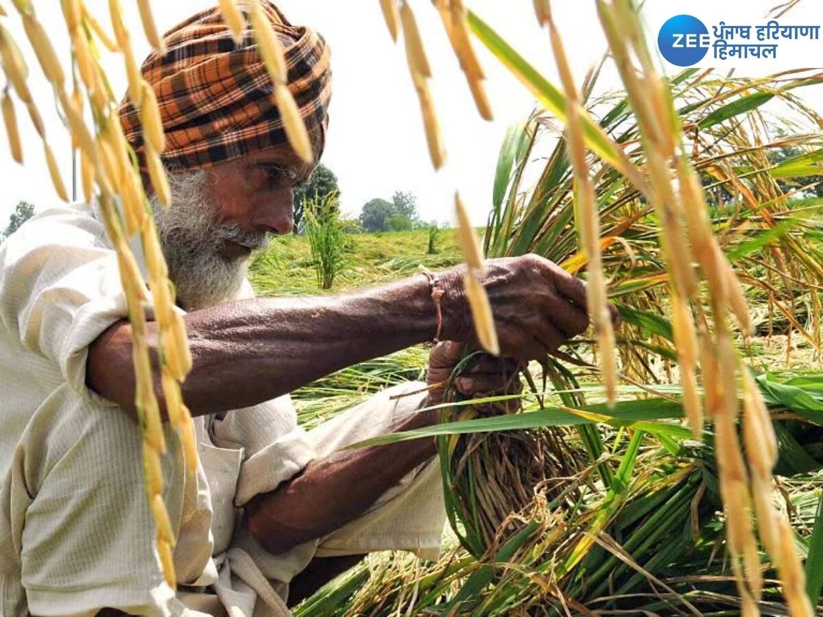 Punjab News: ਗੰਨਾ ਕਿਸਾਨਾਂ ਲਈ ਖੁਸ਼ਖ਼ਬਰੀ, ਕੀਮਤਾਂ 'ਚ ਹੋਇਆ ਵਾਧਾ, ਜਾਣੋ ਕਦੋਂ ਕਿੰਨਾ ਵਧਿਆ ਗੰਨੇ ਦਾ ਰੇਟ