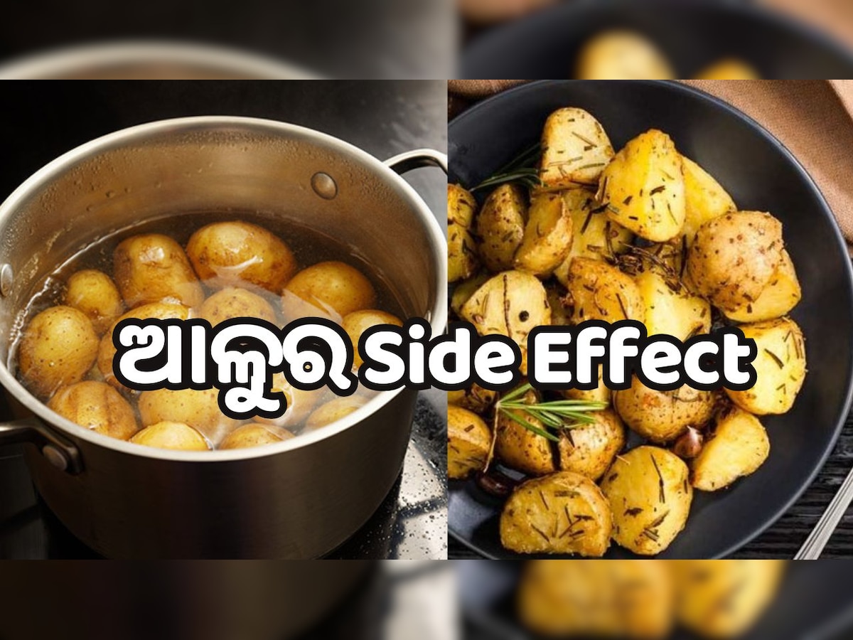 Potato Side Effect: ପ୍ରତିଦିନ ଆଳୁ ଖାଇବା ଦ୍ୱାରା ଶରୀରେ ହୋଇଥାଏ ଏହି ସବୁ କ୍ଷତି !