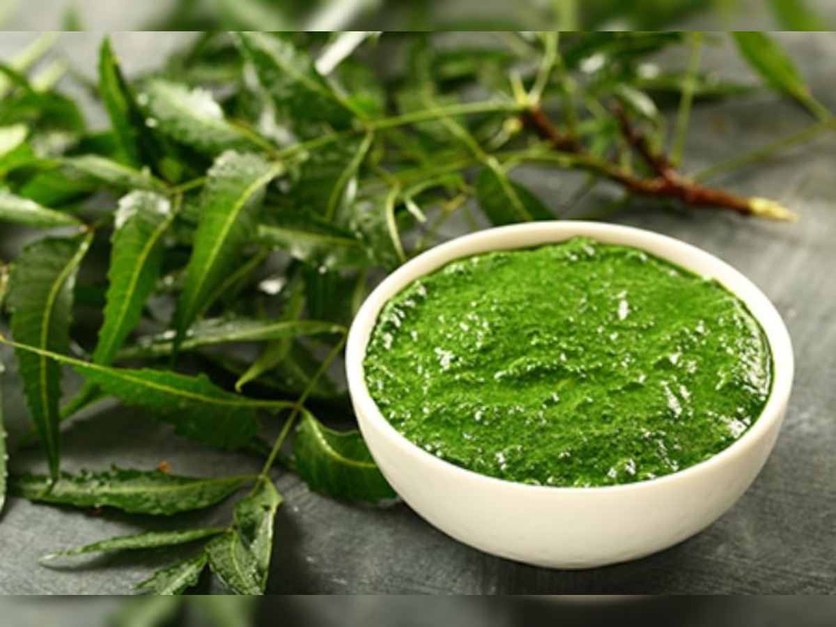 [Know the 5 Health Benefits Of eating Neem you will be surprised ] [Benefits Of Neem जानें