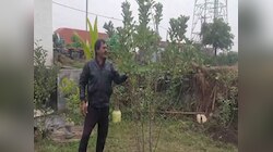 यूट्यूब से सीखी तकनीक, फिर शुरू की चंदन की खेती, अब ये किसान कर रहा लाखों की खेती