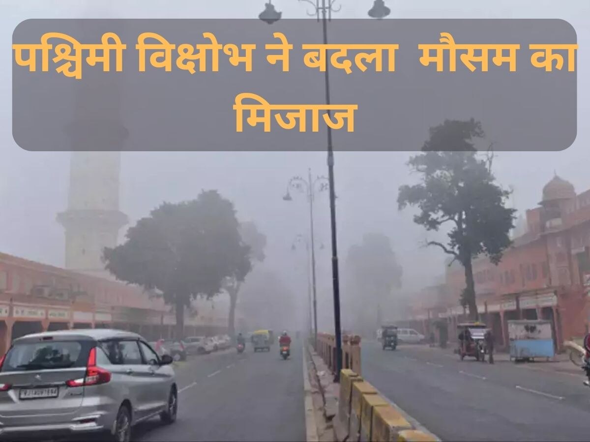 Rajasthan Weather: प्रदेश में पश्चिमी विक्षोभ ने बदला  मौसम का मिजाज, क्षेत्र में छाया घना कोहरा