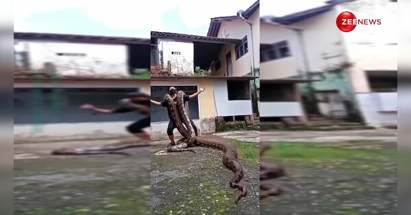 hilarious video! man was seen dancing with a python sitting on his ...
