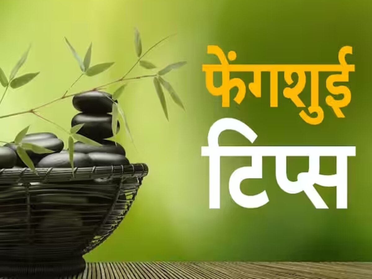 Feng Shui Pakua Mirror: घर में नकारात्मक ऊर्जा को प्रवेश करने से रोकने के लिए आजमाएं फेंगशुई के ये उपाय