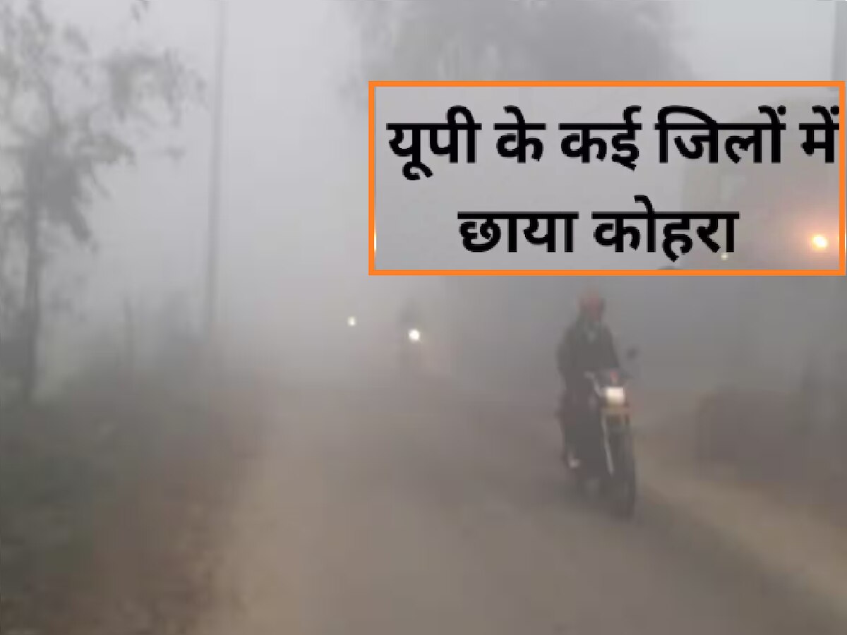 weather update (फाइल फोटो)