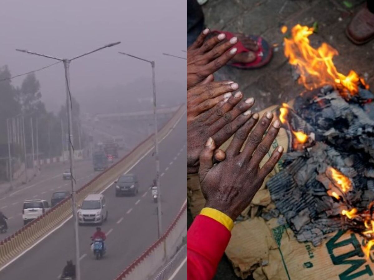 MP Weather Update: एमपी में सर्दी का सितम जारी, कई जिलों में दिखा कोहरे का असर, जानें आपके शहर का हाल