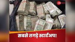 ये 4 बिजनेस बना सकते हैं मालामाल! बड़ा अमाउंट करना है इन्वेस्ट तो जान लें 