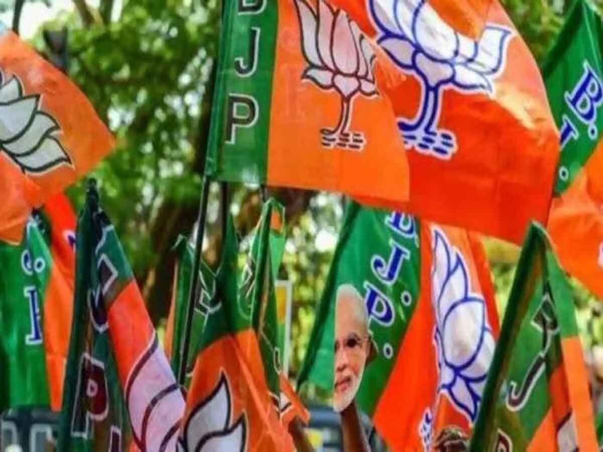 ‘धन्यवाद हमें बताने के लिए कि हम आपके काबिल नहीं’ - चुनावी हार के बाद BJP प्रत्याशी की पत्नी की भावुक पोस्ट वायरल