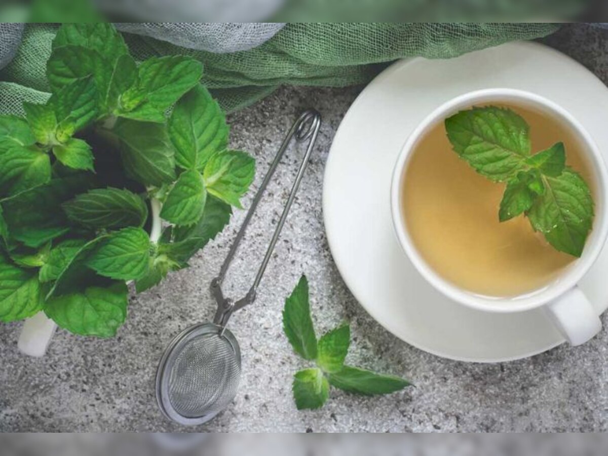 [6 magical benefits of mint leaves on skin] [ठंड में पुदीना का