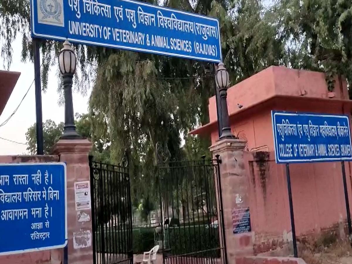 राजस्थान में नई सरकार से पहले नियुक्ति की तैयारी ! सहायक प्रोफेसर भर्ती पर आ सकता है बड़ा अपडेट
