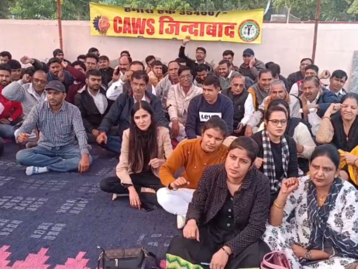 Haryana Clerks Protest: हरियाणा में फिर से क्लर्क आंदोलन हुआ शुरू, वादाखिलाफी के चलते सरकार को दी चेतावनी 