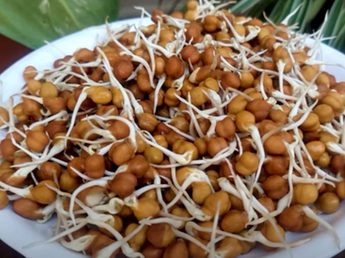 Health News amazing benefits of eating sprouted gram ankurit chana