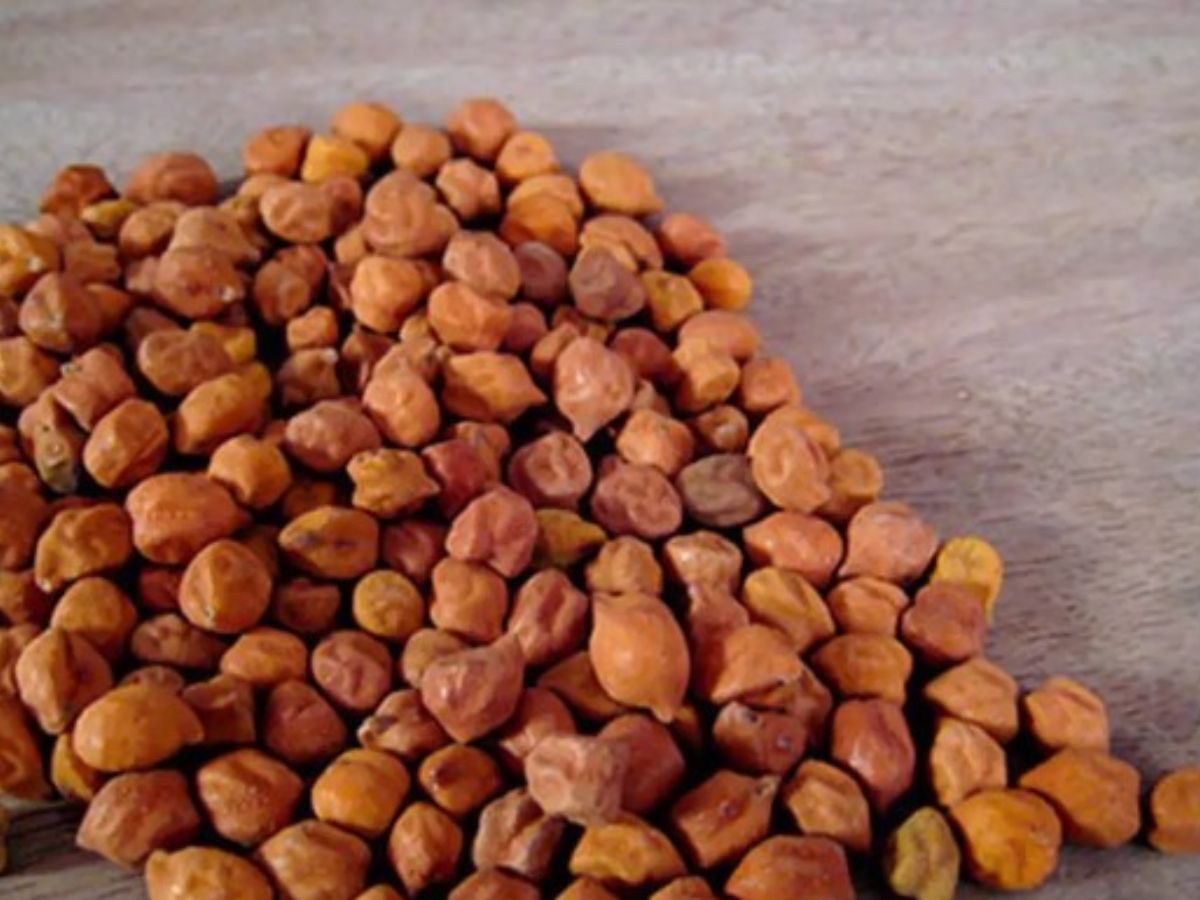 Health News amazing benefits of eating sprouted gram ankurit chana