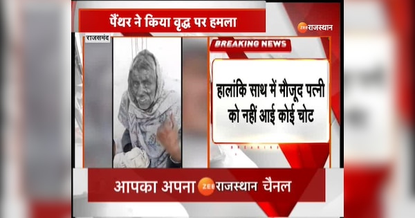 Rajsamand News Panther attacked old man in Kumbhalgarh | Rajsamand News: कुंभलगढ़ में वृद्ध पर पैंथर ने किया हमला, देखें वीडियो | Zee News Hindi