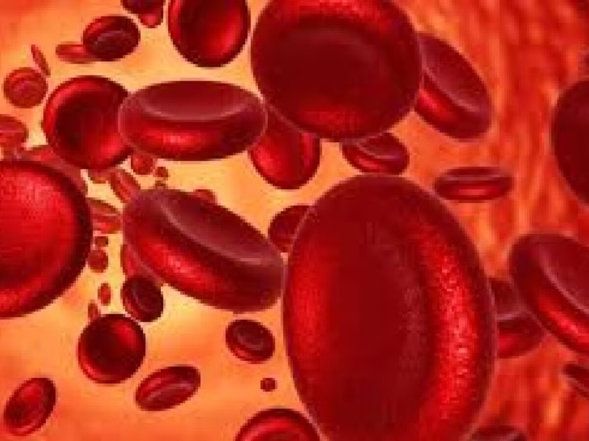 Drinking spinach juice gives many benefits to the body इस सब्जी का