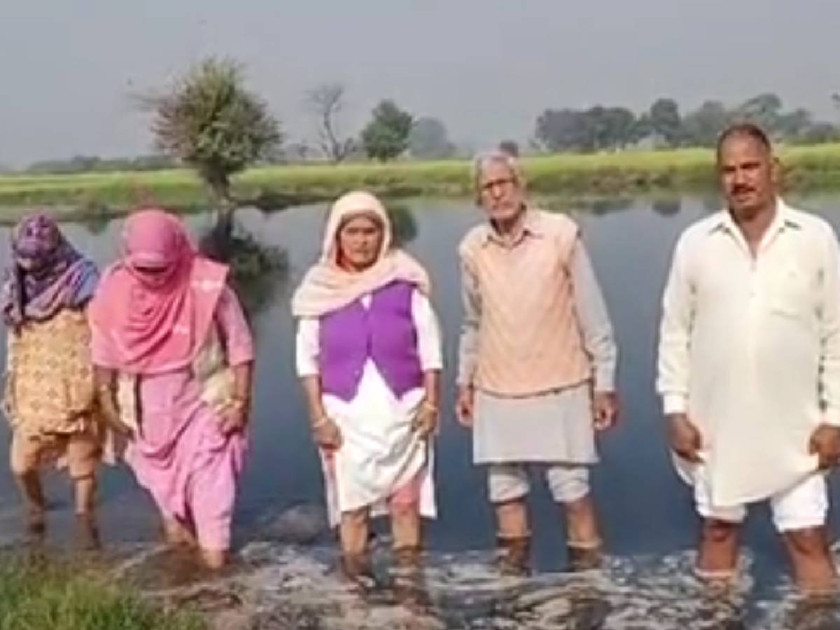Haryana News: गंदे पानी के कारण किसानों की 40 एकड़ से ज्यादा फसल बर्बाद, प्रशासन नहीं ले रहा कोई एक्शन